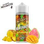 Mangabeys 12 Monkeys 100ml 0mg.